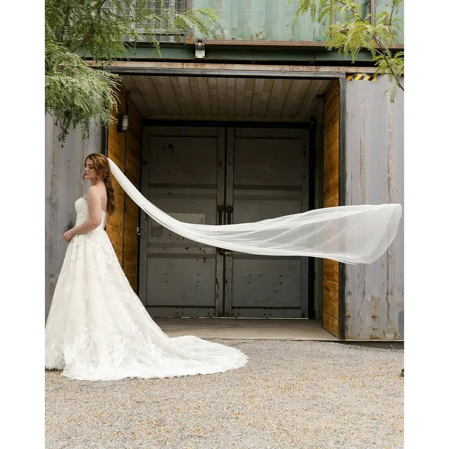 Bridal Veil V2294C - Accessories