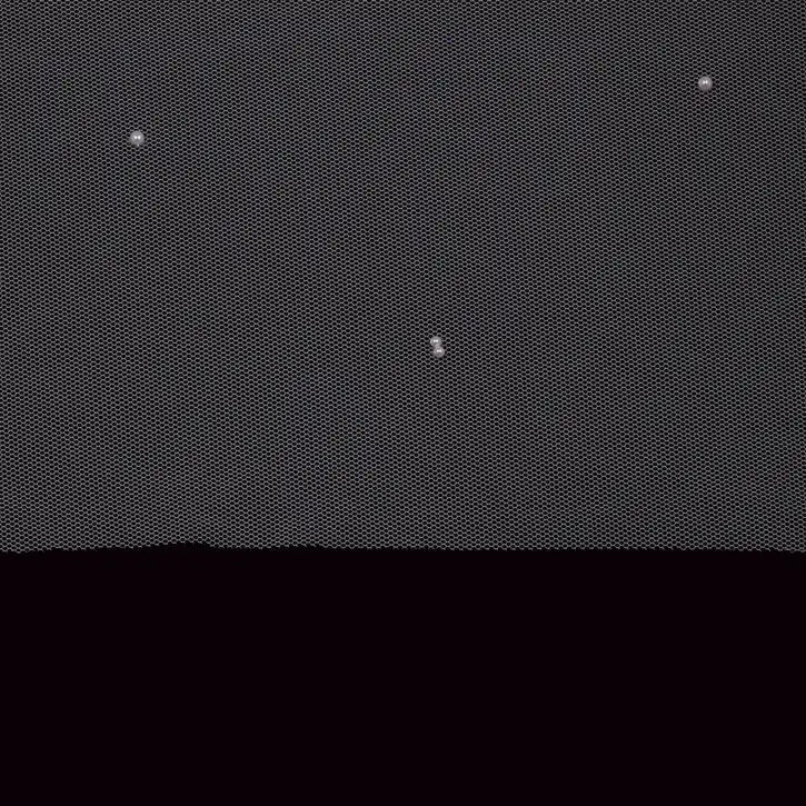 Cathedral Bridal Veil V2297C - Accessories