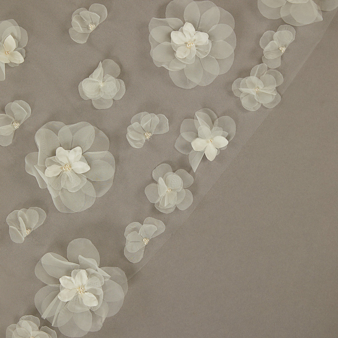 Wedding Veils: The Ultimate Guide to Styles, Trends & Choosing the Perfect One