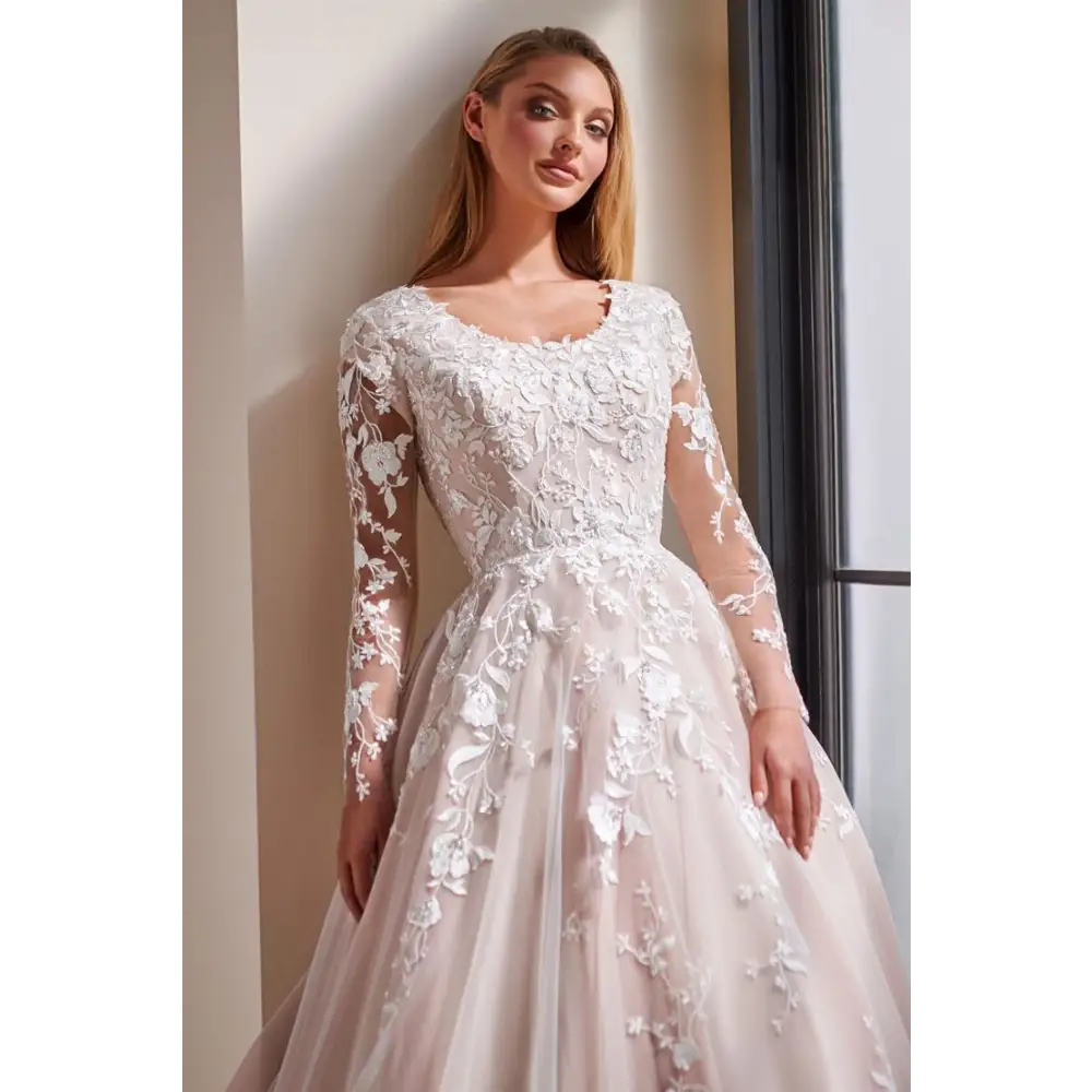 TR22176 by Modest Mon Cheri- In Store - Wedding Dresses